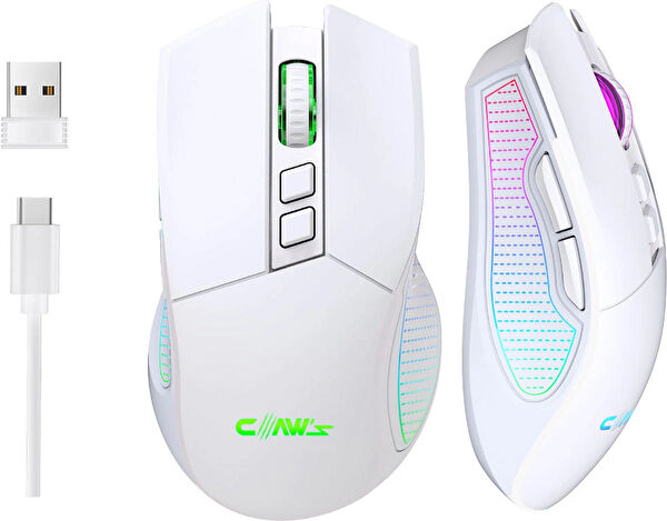 Claw's Mouse