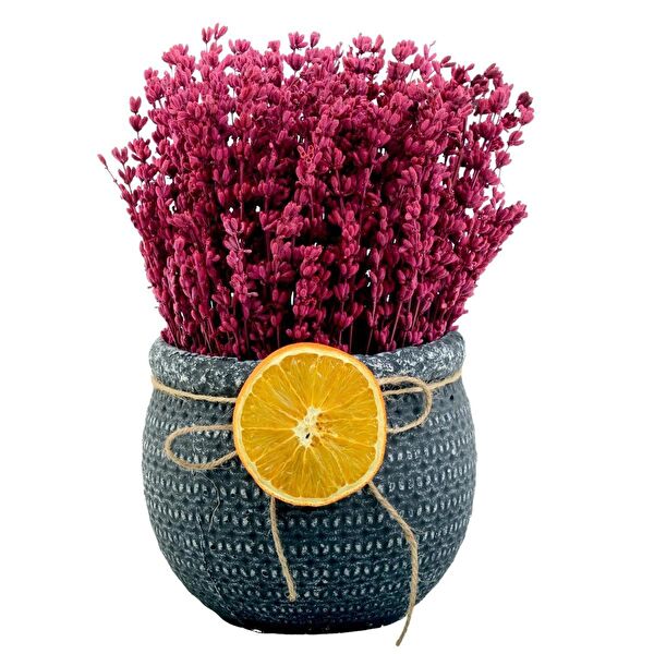 Aver Tasarım İç Mekan Bitkileri