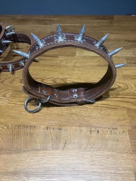 1More Köpek Tasmaları