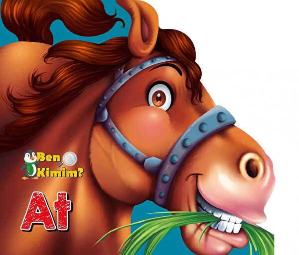 Parıltı Yayınları Aktivite ve Zeka Gelişim Kitapları