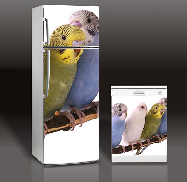 LooksHome Etiket, Sticker