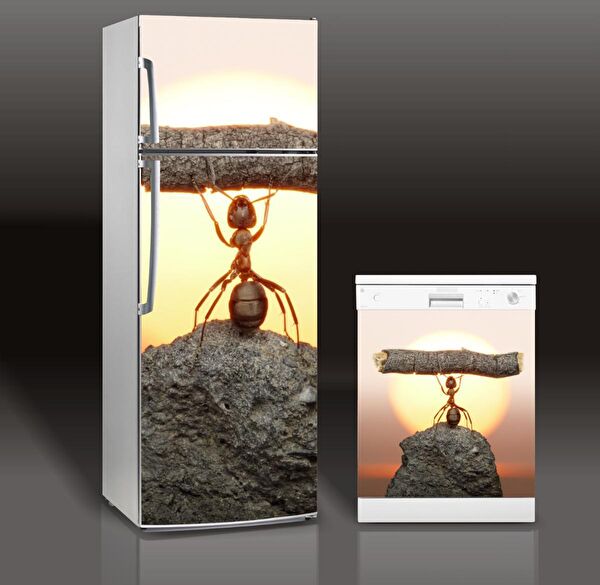 LooksHome Etiket, Sticker