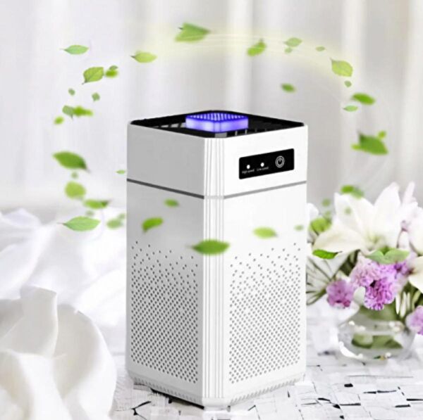 Bowie Hava Temizleme ve Nem Alma Cihazları