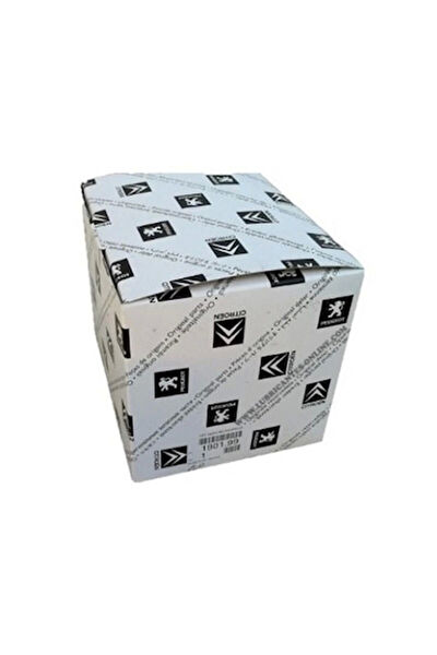 OE-PSA Bagaj Kapağı