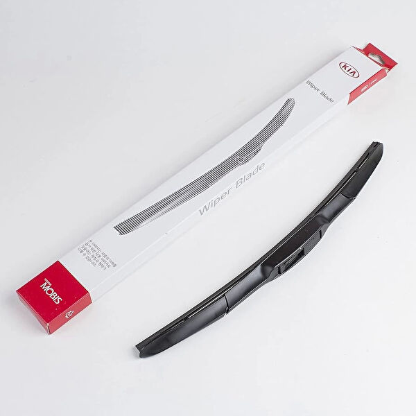 BSG Silecek Süpürgesi