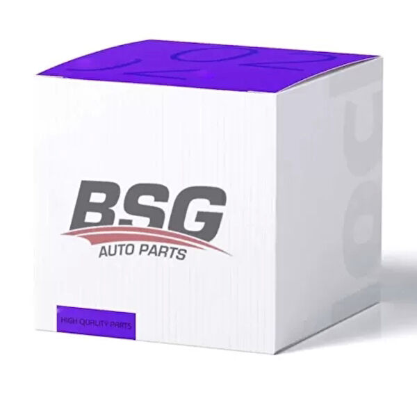 BSG Koltuk Aksesuarları