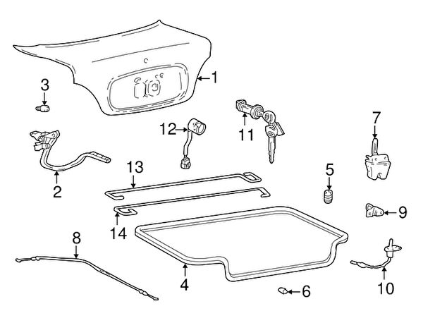 Maher Bagaj Plastiği