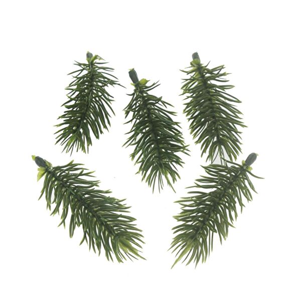 Mutlu Adım Parti Setleri ve Şekerleri