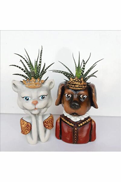 Bulut Design Vazo, Saksı