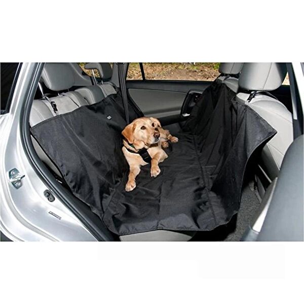 Akvaryum Köpek Kafesi, Aksesuarları