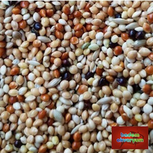 Akvaryum Kuş Yemi, Kraker