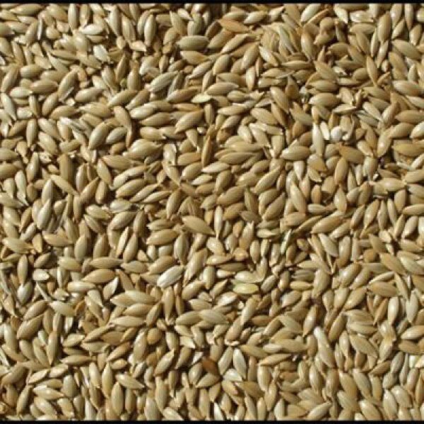 Akvaryum Kuş Yemi, Kraker