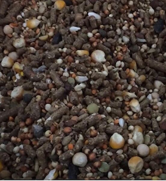 Akvaryum Kemirgen Yemler, Ek Besinler