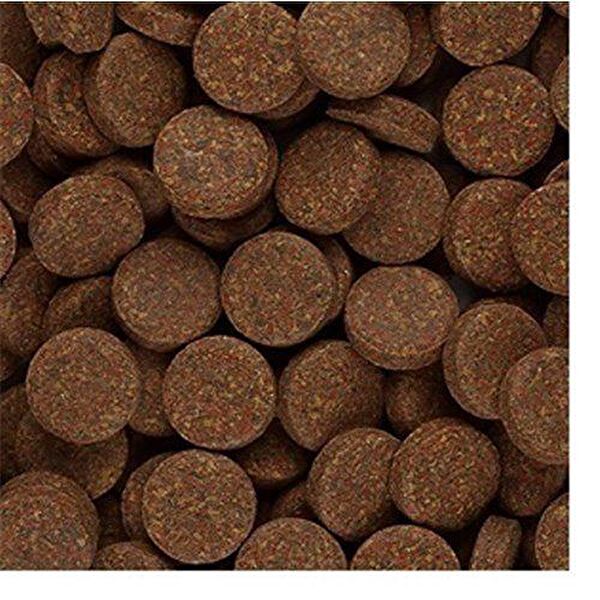 Tropical Balık Yemi