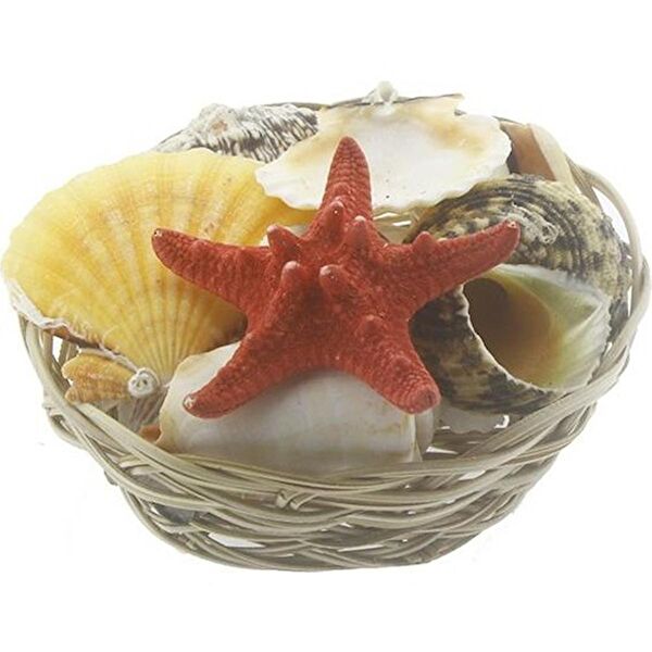 Akvaryum Akvaryum Dekoratif Malzemeler