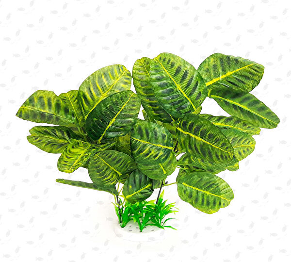 Akvaryum Akvaryum Dekoratif Malzemeler