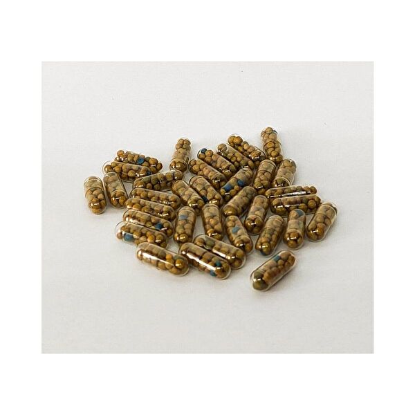 Badem Akvaryum Akvaryum Bitkileri, Bakımı