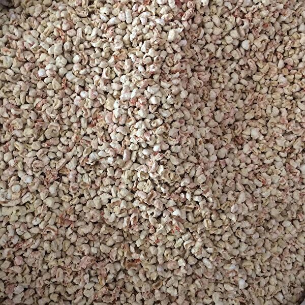 Akvaryum Parazit Spreyleri & Dezenfektanlar