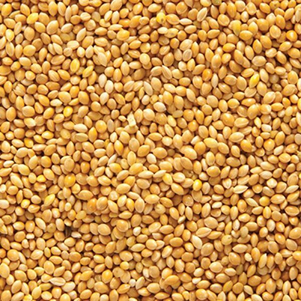 Akvaryum Kuş Yemi, Kraker