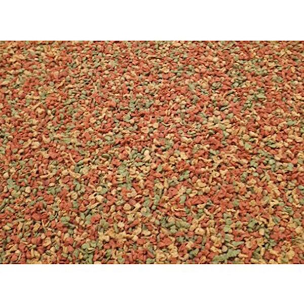 Akvaryum Balık Yemi