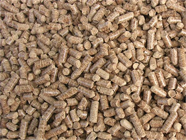 Akvaryum Kedi Kumları