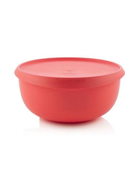 Tupperware Saklama Kabı