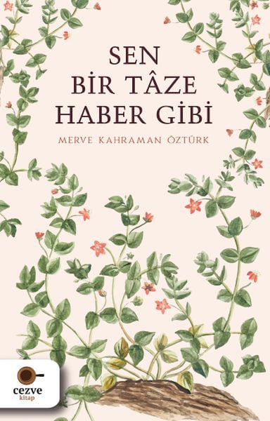 Cezve Kitap Roman Kitapları