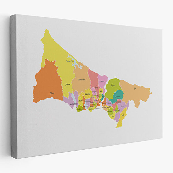 Harita Sepeti Kanvas Tablo