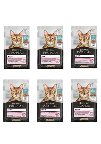 Pro Plan Kedi Maması