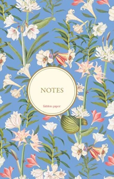 Hidden Paper Aktivite ve Zeka Gelişim Kitapları