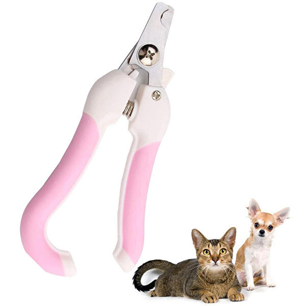 Weather Forecast Köpek Tarak, Fırça, Makas