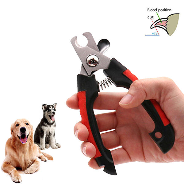 Weather Forecast Köpek Tarak, Fırça, Makas