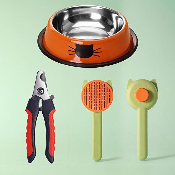 Weather Forecast Kedi Mama ve Su Kapları