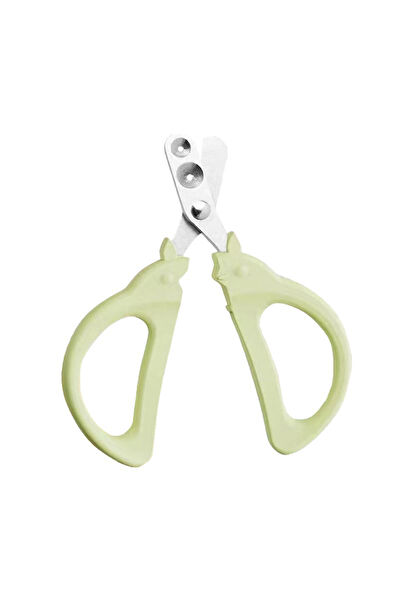 Weather Forecast Kedi Tarak, Fırça, Makas