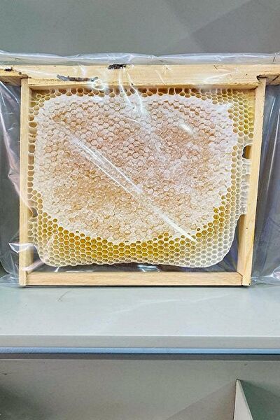 Kayalı Organik Organik Bal, Pekmez, Reçel