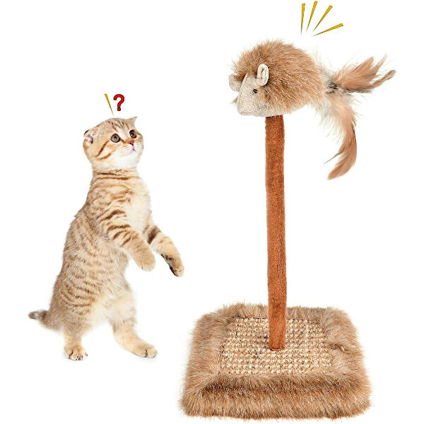 Kapamarka Kedi Tırmalama