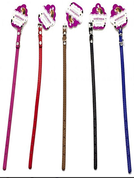 Paticimiss Kedi Tasmaları ve İsimlikler