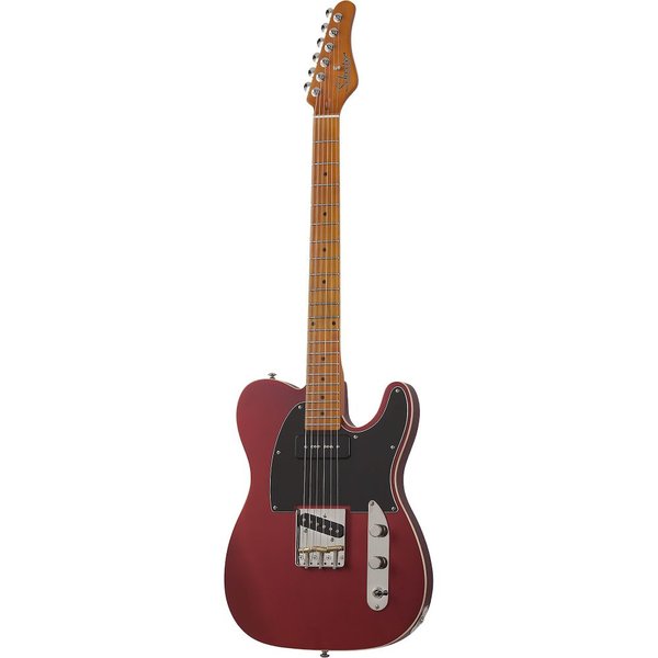 Schecter Gitar