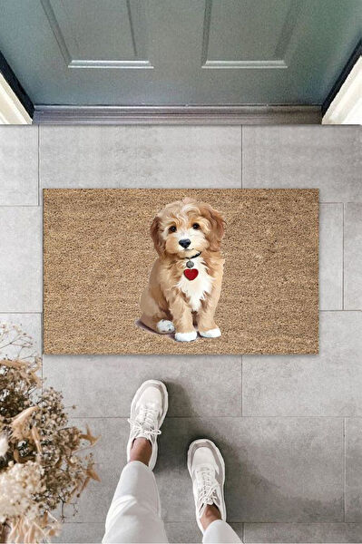 OZN AKSESUAR Dış Mekan Paspası