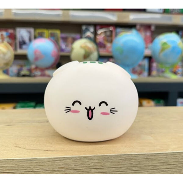 TTT Kedi Tuvaleti, Aksesuarları