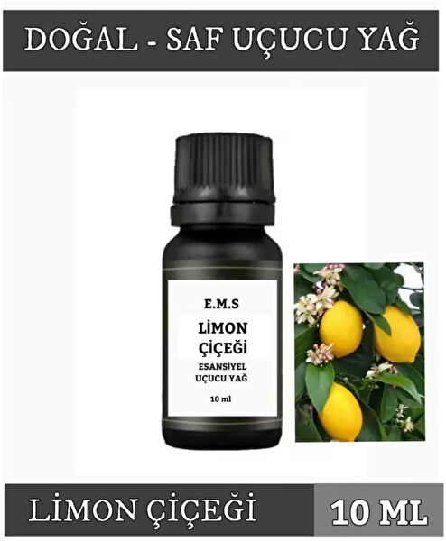 E.M.S AVM Oda Kokusu