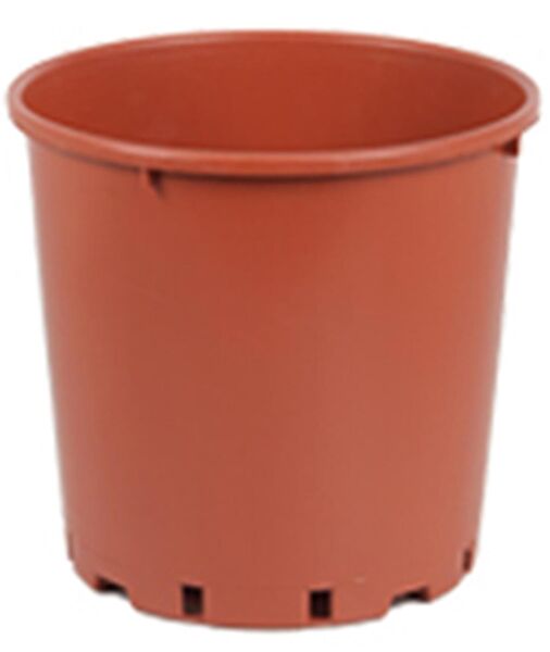 Fidan Sepetim Saksı