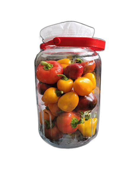 white guard Saklama Bonesi, Kapağı