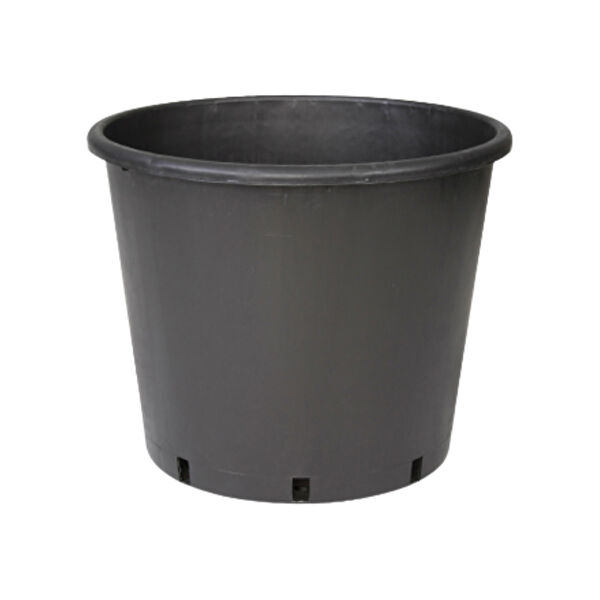 Fidan Sepetim Saksı