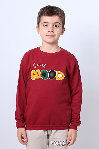 HÇM Erkek Çocuk Sweatshirt