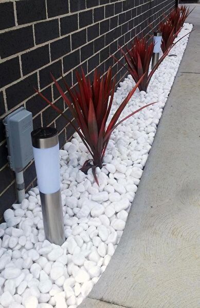 Asenya Bahçe Dekoratif Ürünleri