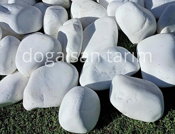 Asenya Bahçe Dekoratif Ürünleri