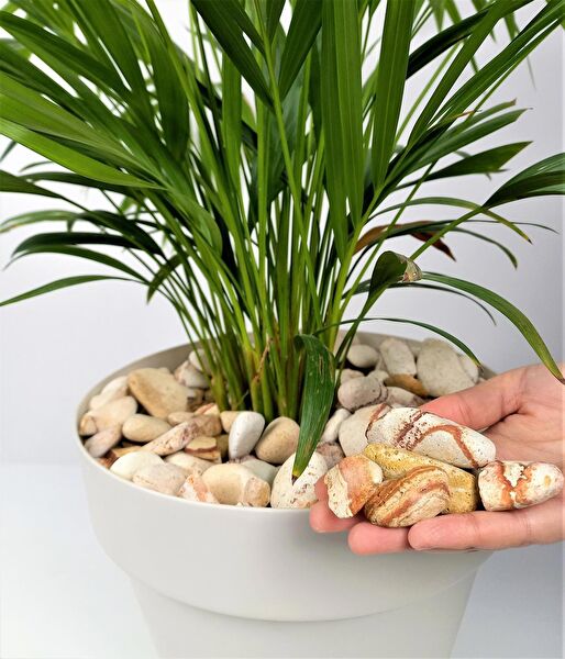 Asenya Bahçe Dekoratif Ürünleri