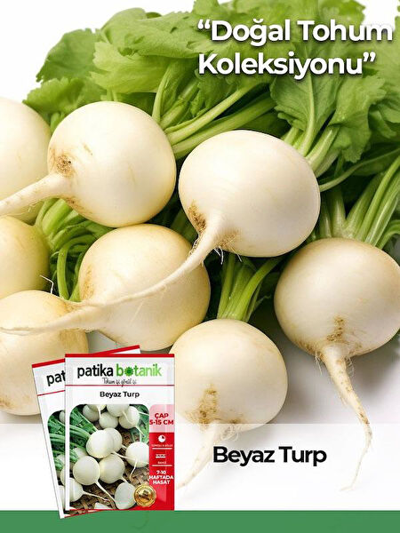 Patika Botanik Tohum