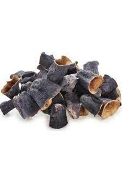 Serdar Çam Tohumculuk Tohum